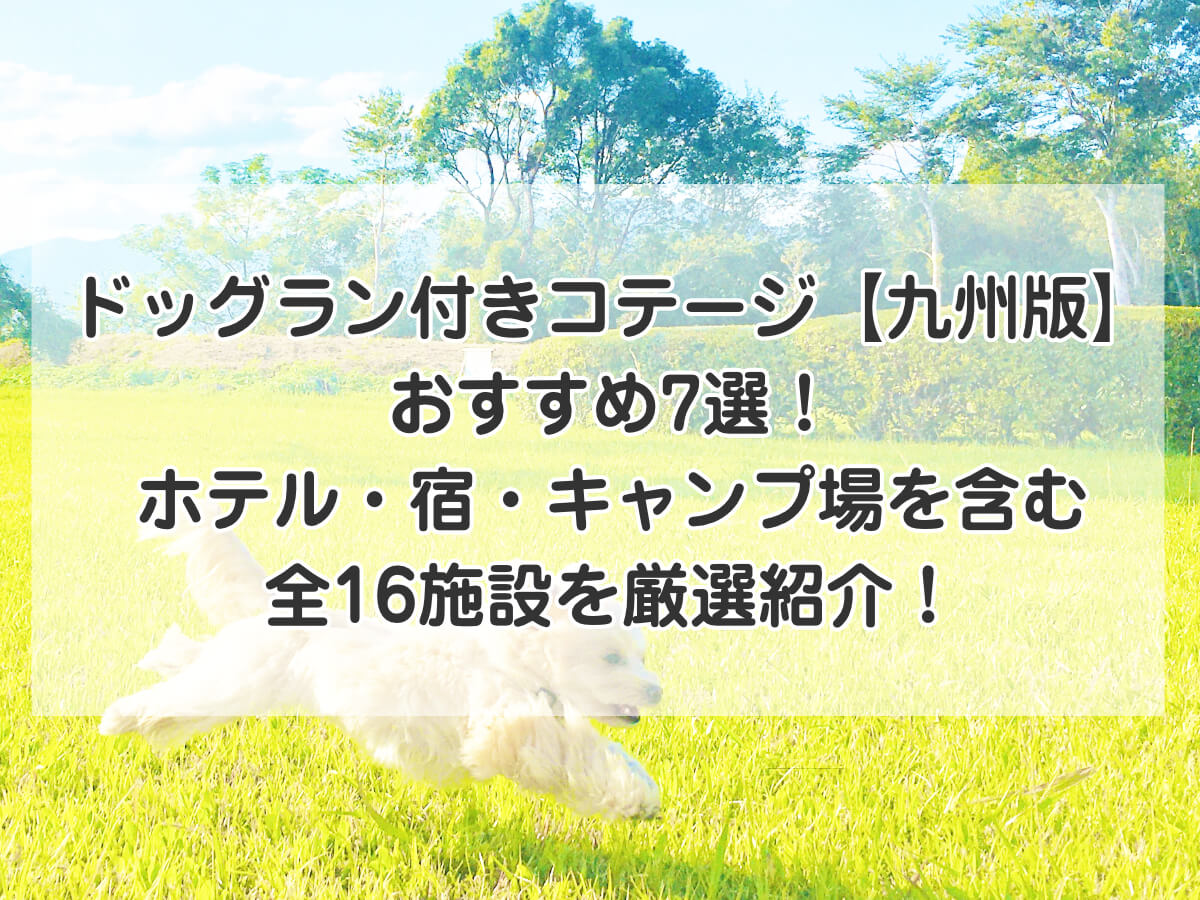 ドッグラン付きコテージ【九州版】おすすめ7選！ホテル・宿・キャンプ場を含む全16施設を厳選紹介！のイメージ画像