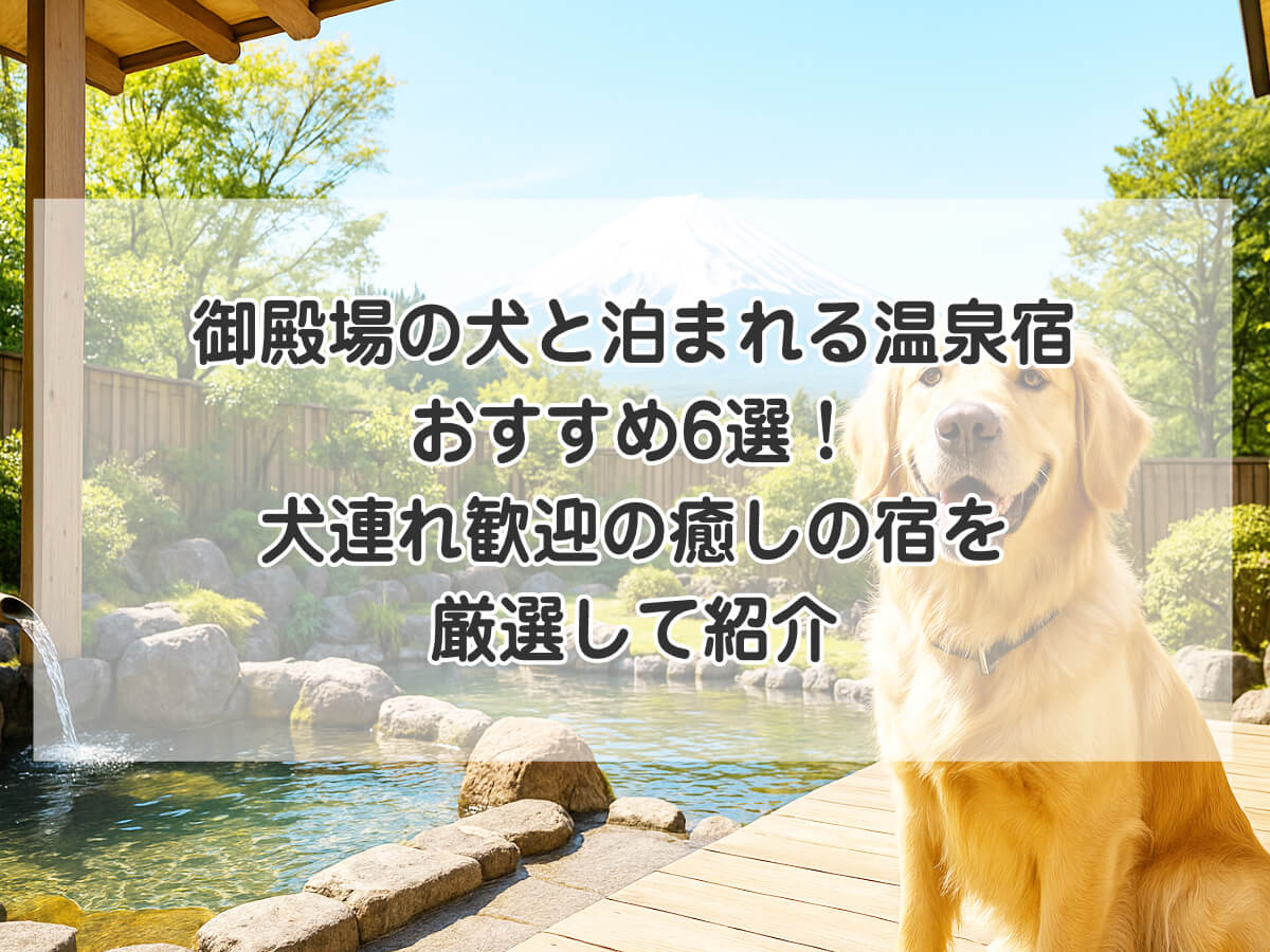 御殿場の犬と泊まれる温泉宿おすすめ6選！犬連れ歓迎の癒しの宿を厳選して紹介のイメージ画像